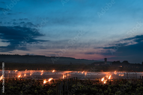 bougies et feux dans les vignes de Pommard en bourgogne côte-d'or pour lutter contre le gel et protéger les vignes du froid.