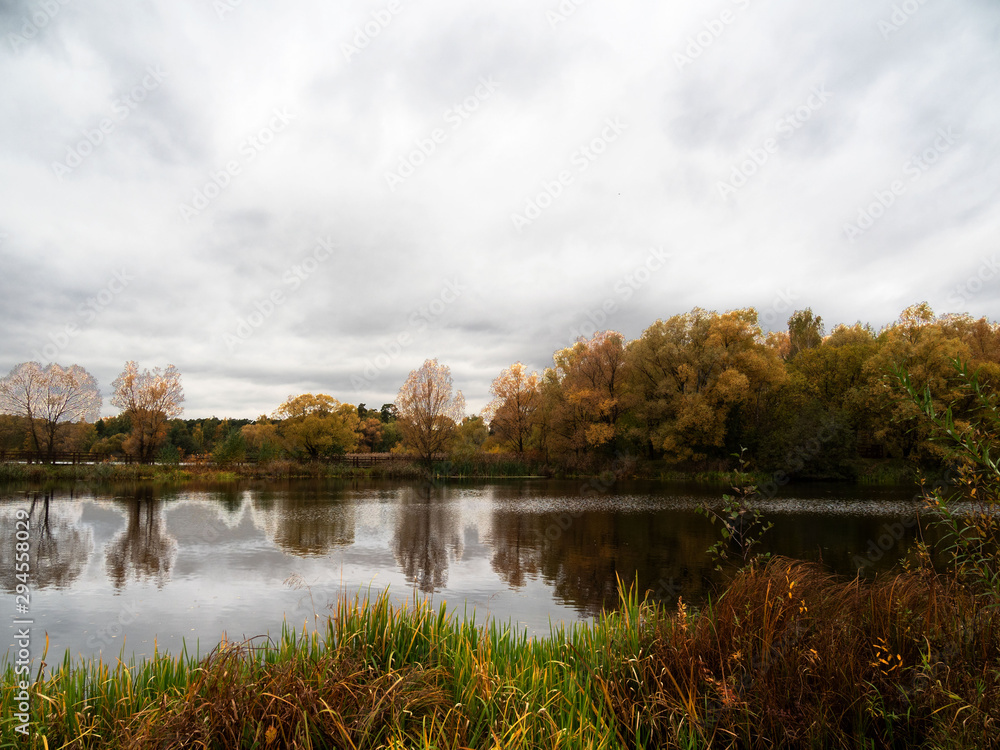 Autumn, trees, Park, pond, landscape.
