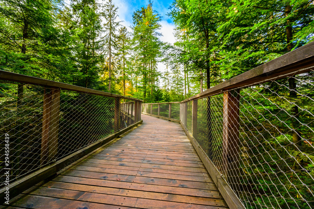 Treetop walk in Black Forest with 40m high Lookout tower located at Sommerberg, Bad Wildbad - Travel destination in Germany Treetop walk in Black Forest with 40m high Lookout tower located at Sommerberg, Bad Wildbad - Travel destination in Germany