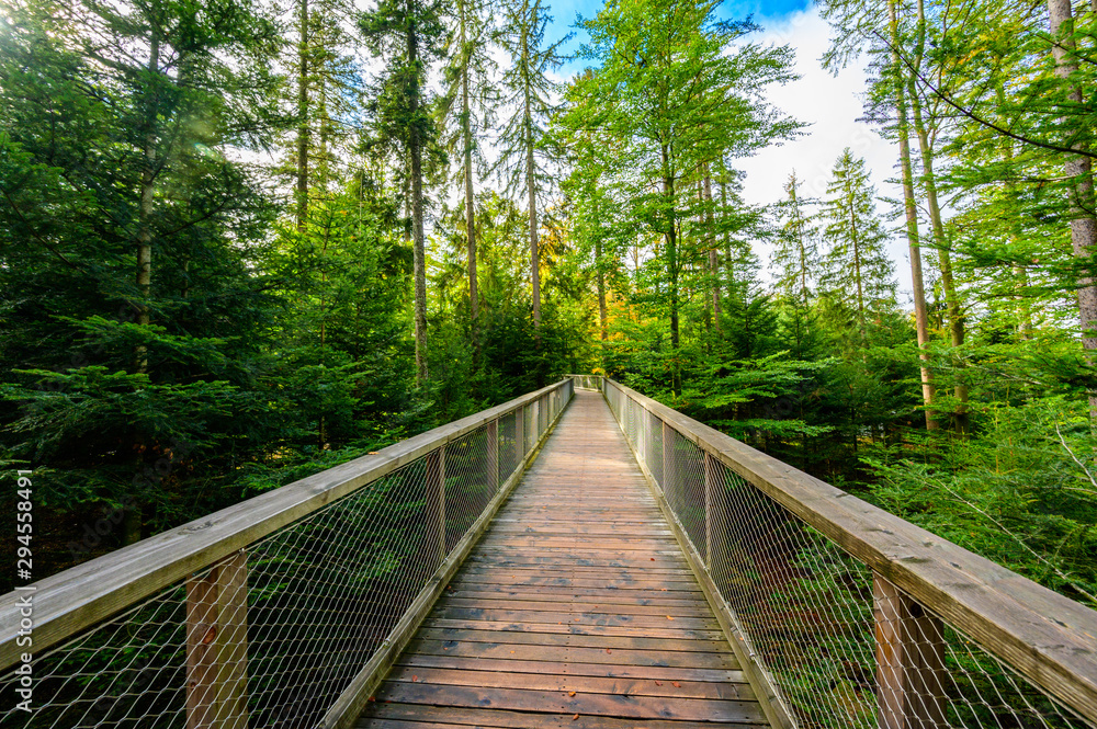 Treetop walk in Black Forest with 40m high Lookout tower located at Sommerberg, Bad Wildbad - Travel destination in Germany Treetop walk in Black Forest with 40m high Lookout tower located at Sommerberg, Bad Wildbad - Travel destination in Germany