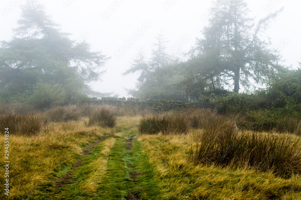 Ilkley moor in the autumn fog Ilkley moor in the autumn fog