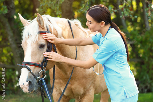 Young veterinarian examining palomino horse outdoors on sunny day