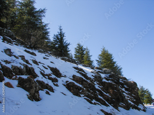 Arz al Barouk Lebanon cedars snow season photo