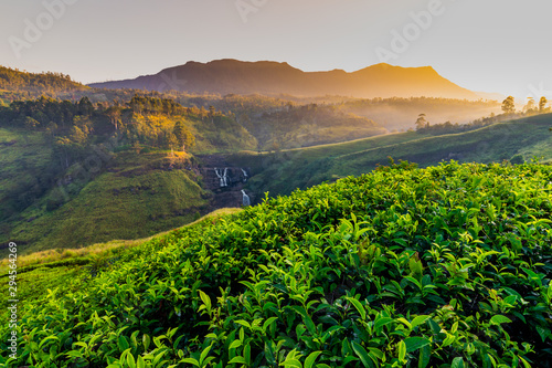 Konstfotografi Tea plantation and St Claire waterfall at sunrise, Sri Lanka