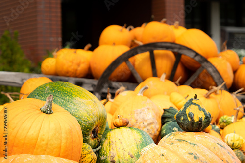 北海道ニセコ駅前オータムフェスティバルのカボチャ