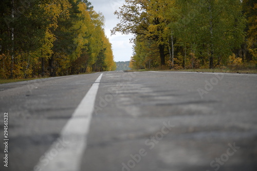 road in autumn