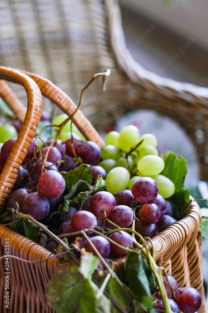 Grapes In A Basket . In a country house. Collection of selected grapes for homemade wine. Ecological products. Background Grapes In A Basket . In a country house. Collection of selected grapes for homemade wine. Ecological products. Background