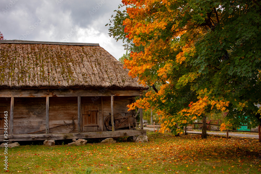 Old rural wooden house with thatched roof. Fall season. Close-up. Old rural wooden house with thatched roof. Fall season. Close-up.