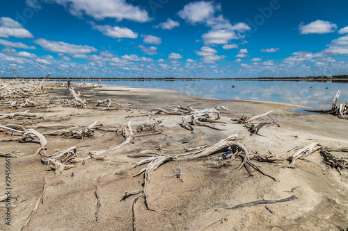 Obraz na plátně Salt Lake Shoreline