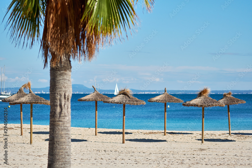 Idyllic scenery, concept of summer holidays, palm tree and straw parasols in a row on the coast of Mediterranean Sea, Majorca Island, Baleares, Spain