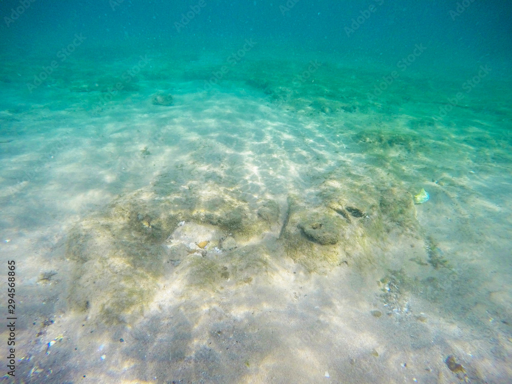 Sandy bottom underwater in a turquoise ocean Sandy bottom underwater in a turquoise ocean
