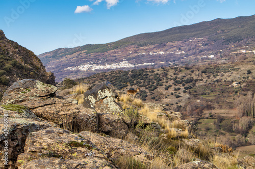 mountainous landscape of Sierra Nevada  Spain 