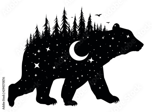 Silhouette of a wild bear with night forest and bird.