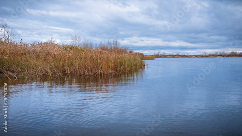 Beautiful autumn landscape - the shore of the bay with thickets of dry reeds near the water