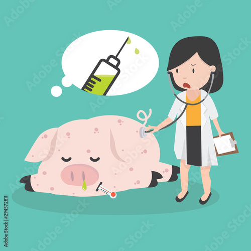 Sick Pig  Swine Flu with the doctor a vaccination