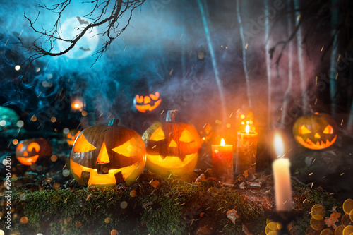 Halloween pumpkins on dark spooky forest with blue fog in background. © Lukas Gojda