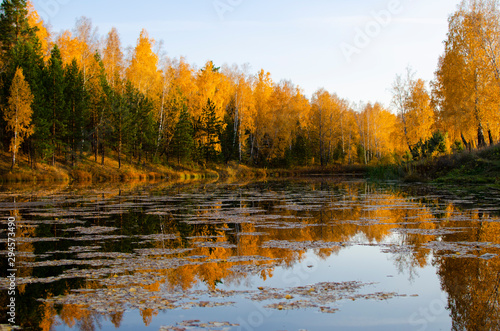 pond in the autumn forest on a sunny fall day
