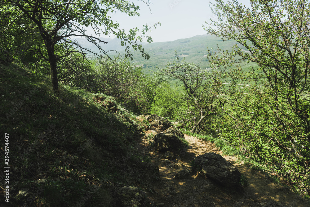 Hiking pathway- journey through roads, mystical nature Hiking pathway- journey through roads, mystical nature