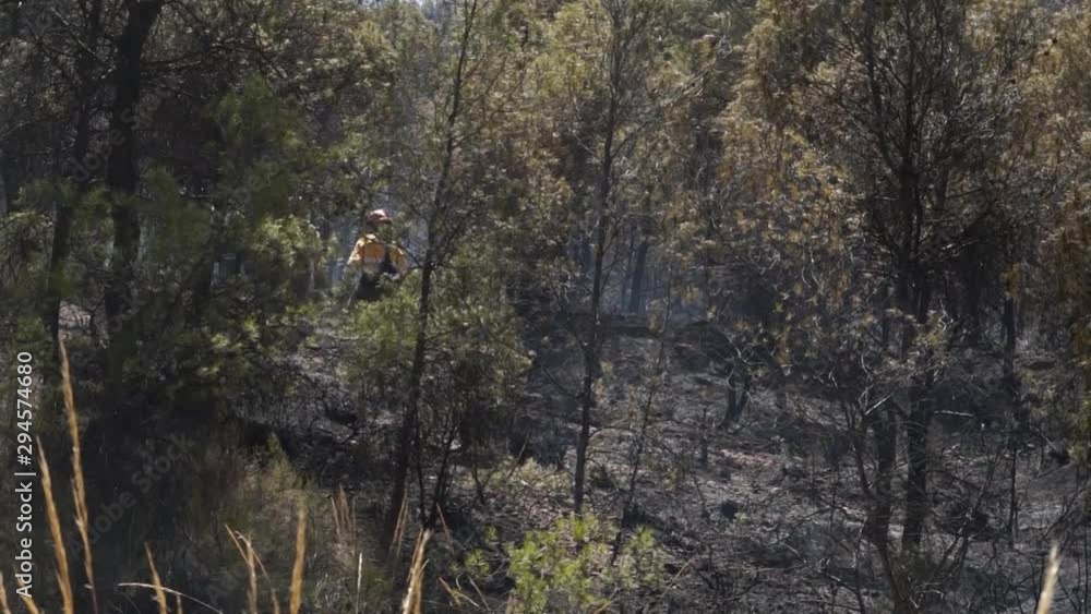 Brasilian fireman fighter running into the forest to protect the amazon rainforest for further burn. Fight againt climate warming. Brasilian fireman fighter running into the forest to protect the amazon rainforest for further burn. Fight againt climate warming.