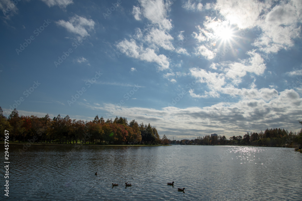 Naklejka premium 水元公園