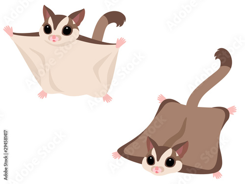 空を飛ぶフクロモモンガのイラストセット