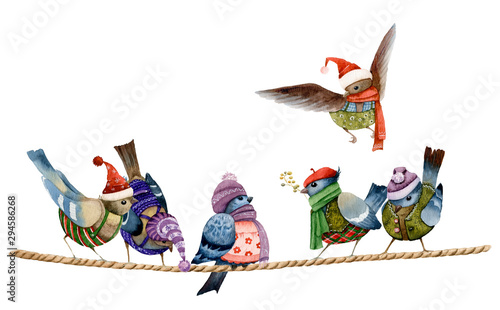 Photography Funny Christmas cartoon dressed birds sitting on the rope in the winter time hand drawn in watercolor isolated on a white background