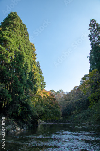 養老渓谷