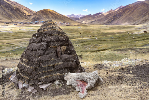 A dirt mound used for drying llama and alpaca waste for use as fuel and fertilizer in the high Andes. Ausungate, Cusco, Peru photo