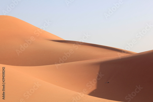 beautiful desertscape at united arab emirates © ravi