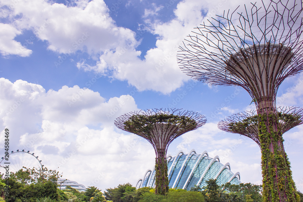 Fototapeta premium Horizontal view artificial trees of Super Trees group at Gardens by the Bay which one of the best attractions in Singapore.