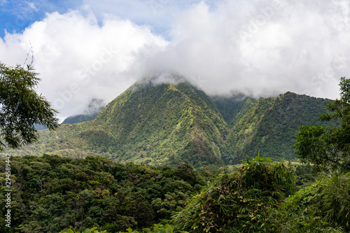 Martinique  FWI - Valley in Carbet Mountains