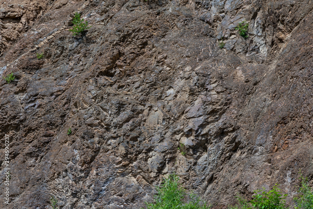 Background with a rough texture of gray color of stone and rock on the mountain with green grass