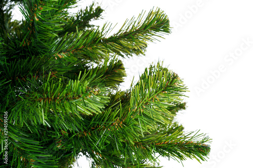 Fir tree branches close up against white background, copy space
