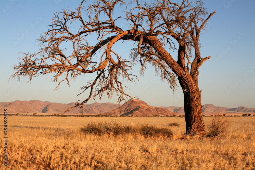 Einseitiger Baum Einseitiger Baum