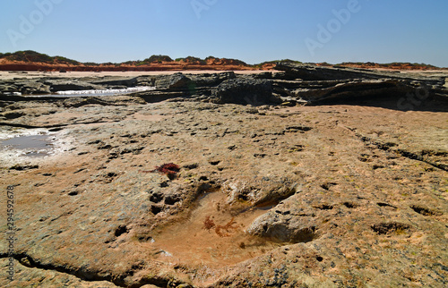 Dinosaur footprint embedded in ancient beachside rock, Broome Australia. photo