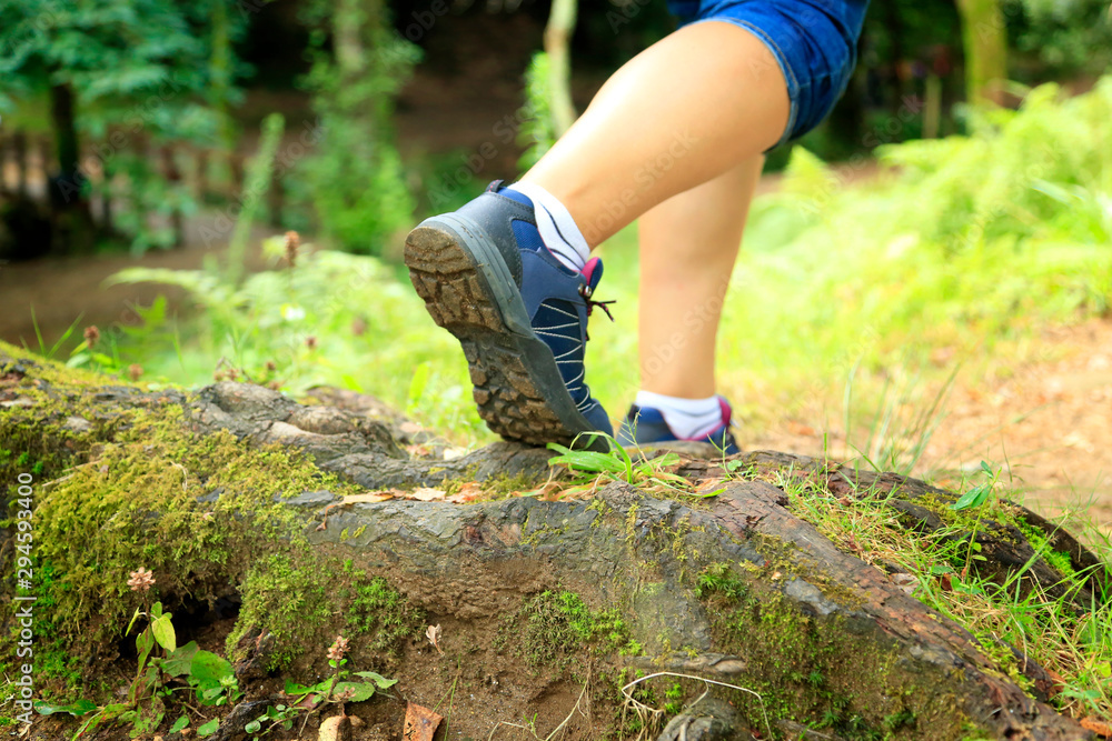 Detail slipper walking in forest Detail slipper walking in forest
