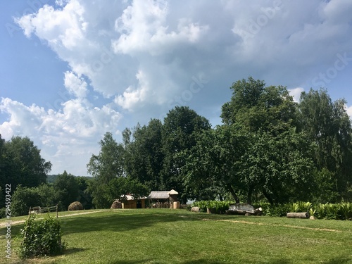 landscape with houses and trees