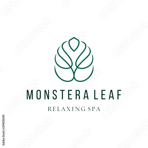 Abstract Monstera leaf logo design vector icon illustration line outline monoline custom logo design