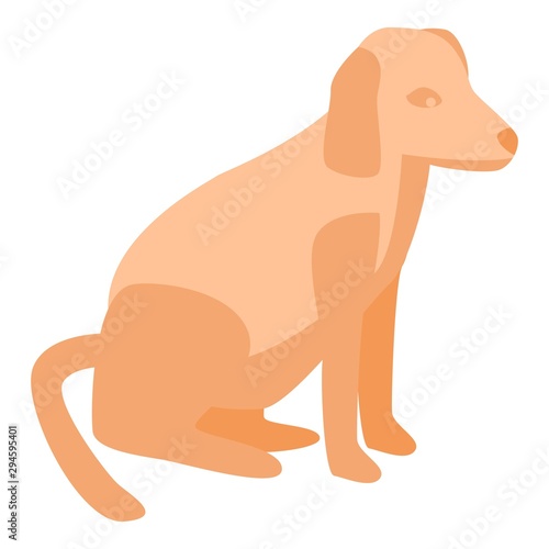 Red hair dog icon. Isometric of red hair dog vector icon for web design isolated on white background