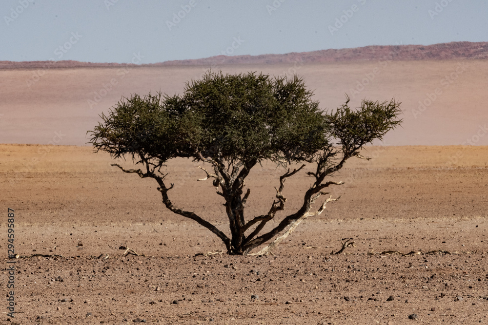 Obraz premium BEAUTIFUL LANDSCAPES OF NAMIBIA IN AFRICA