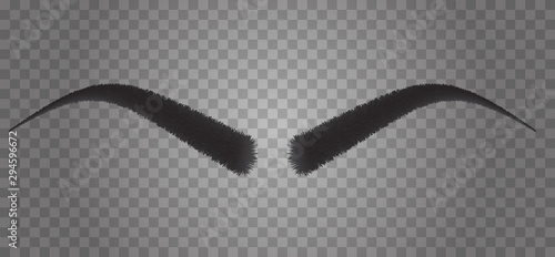 Realistic 3d human eyebrows form isolated on transparent background. Vector fashion illustration.