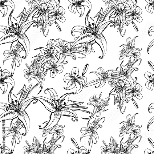 Fototapeta Naklejka Na Ścianę i Meble -   Liliya flower  white and black background. Vector vintage pattern. Vector illustration bright design.