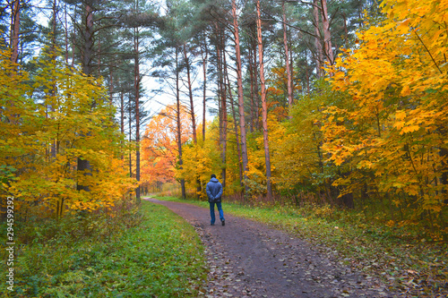 walk in the autumn Park