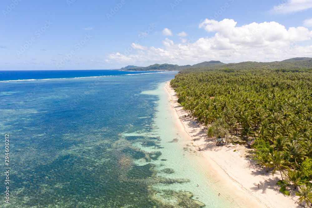 Beautiful tropical island with sand beach, palm trees. Aerial view of tropical beach on the island Siargao, Philippines. Tropical landscape: beach with palm trees.