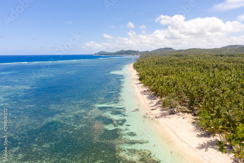 Beautiful tropical island with sand beach, palm trees. Aerial view of tropical beach on the island Siargao, Philippines. Tropical landscape: beach with palm trees. © Tatiana Nurieva