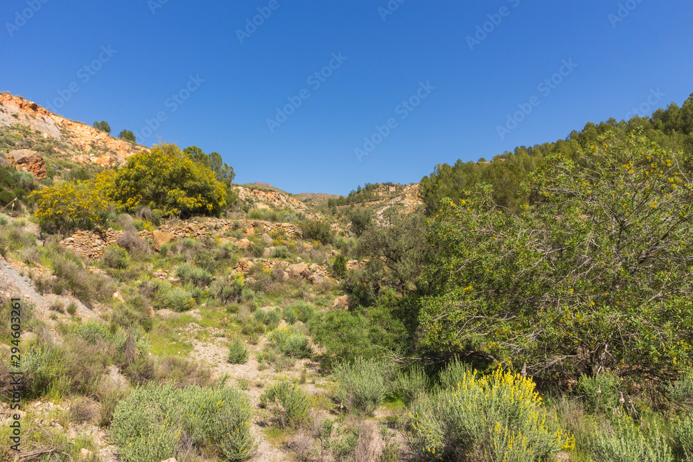 landscape of the Rambla de Hirmes area in Beninar (Spain) landscape of the Rambla de Hirmes area in Beninar (Spain)