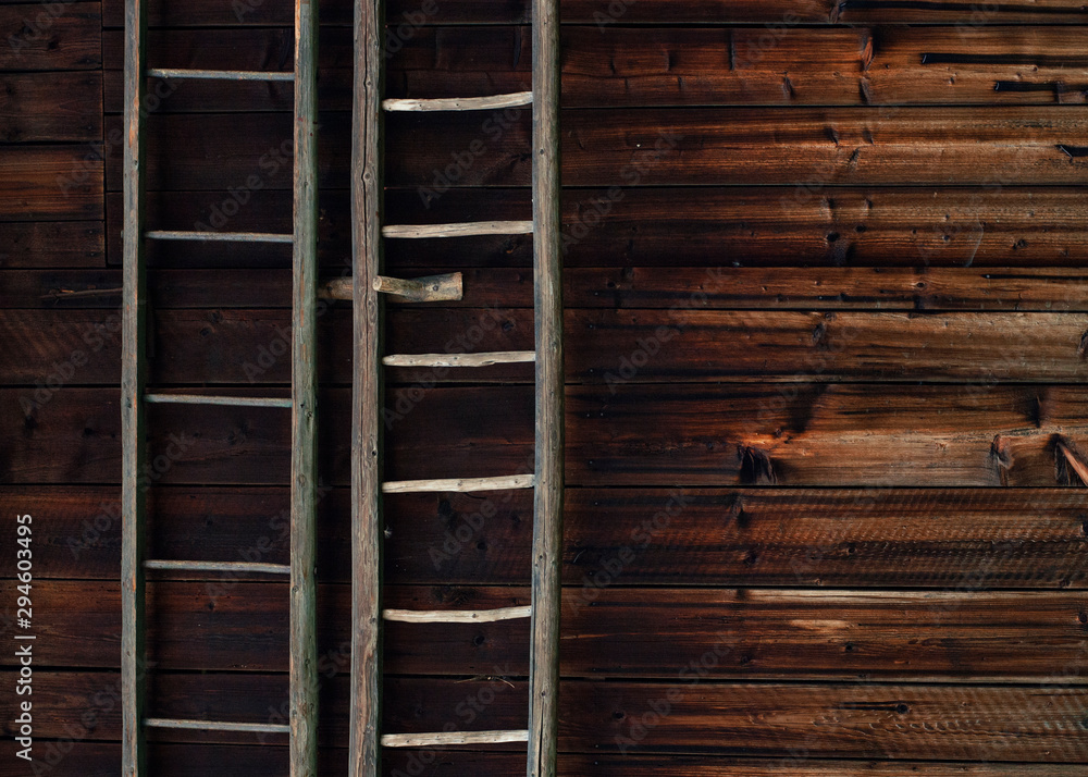 Ladder Ladder