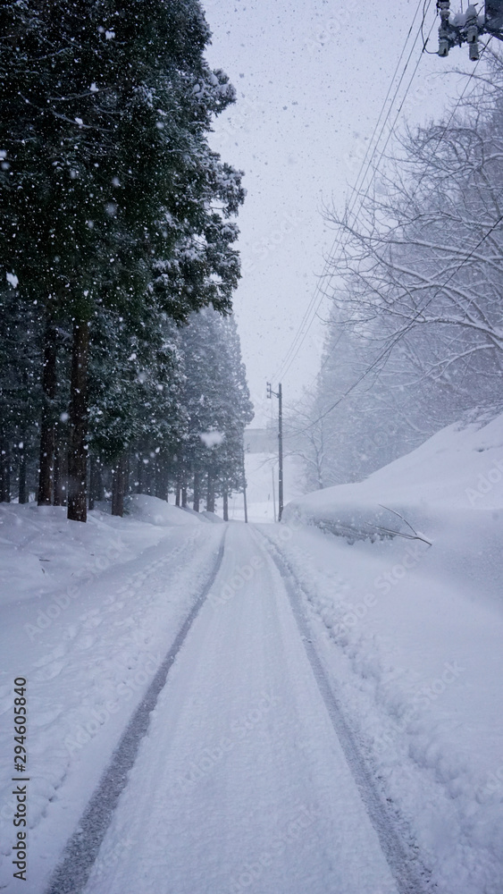 雪国、新潟県湯沢町土樽の雪道