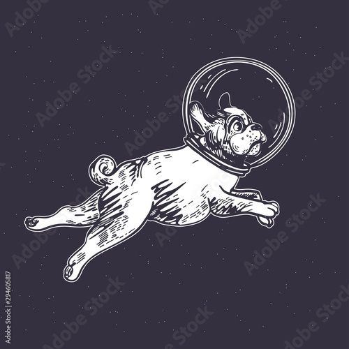 Pug astronaut flies in space. Cosmic illustration.