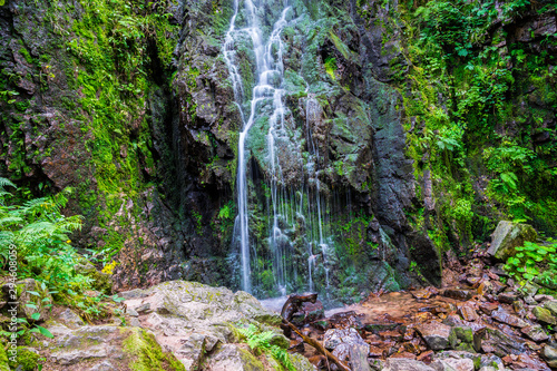 Germany, Magical wild waterfall at green moss covered rock wall, called burgbachwasserfall in black forest nature landscape like garden eden photo